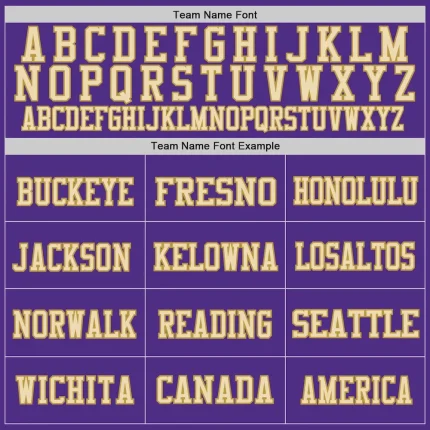 Custom Purple Old Gold Black-Cream Mesh Authentic Football Jersey - Image 3